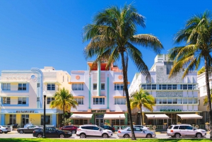 Miami: South Beach Sunset Walking Dinner Guided Tour