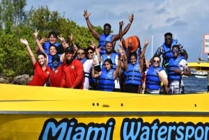 Miami : Tour en bateau à grande vitesse pour visiter la ville