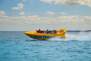 Actividades divertidas en Miami