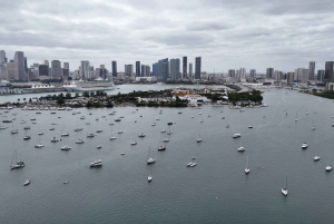 Miami: Star Island Guided Cruise from Bayside Marketplace