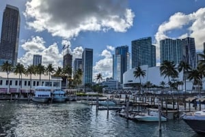 Miami: Star Island & Skyline 90 min kryssningsäventyr!