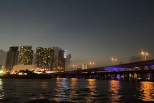 Miami: Crucero al atardecer con Celebrity Homes y barra libre