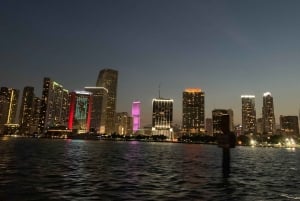 Miami: Crucero al atardecer con Celebrity Homes y barra libre