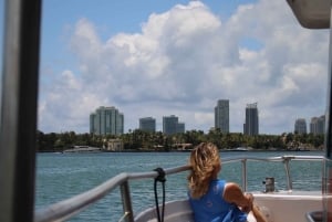 Miami: Crucero al atardecer con Celebrity Homes y barra libre