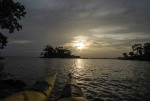 Miami: Sunset Biscayne Bay Aquatic Preserve Kayak Tour