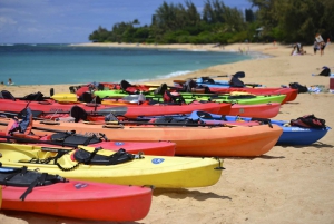 Miami: Sunset Biscayne Bay Aquatic Preserve Kayak Tour