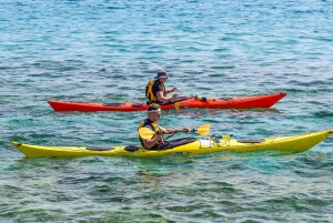Miami: Sunset Biscayne Bay Aquatic Preserve Kayak Tour