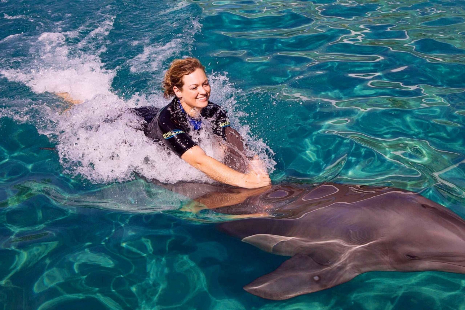 Miami: Experiencia de Nado con Delfines con Entrada al Seaquarium