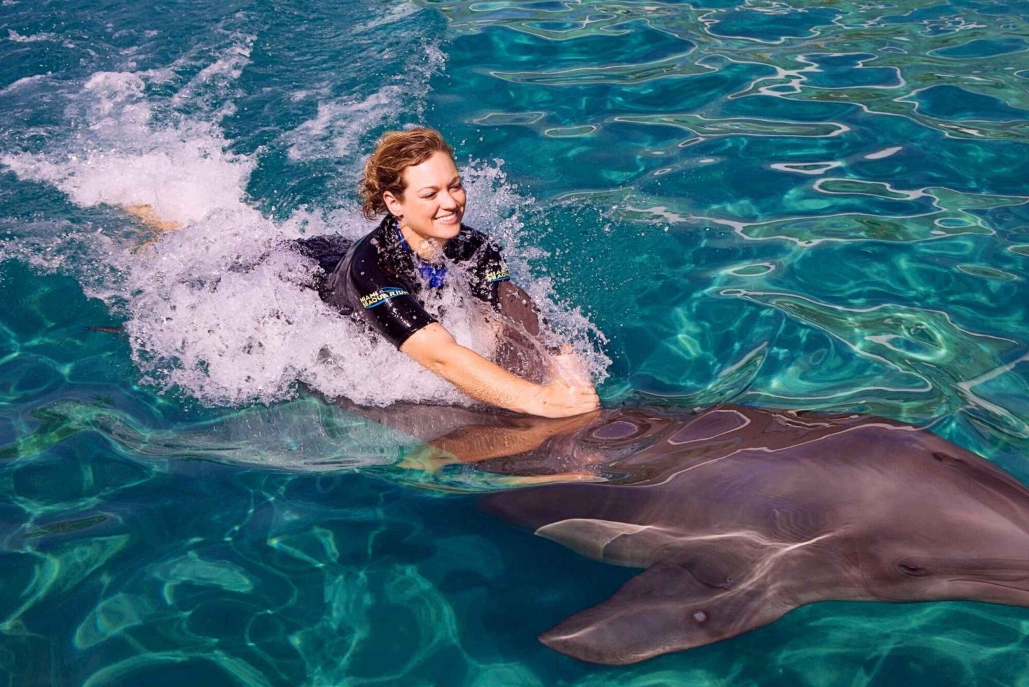 Miami: Svøm med delfiner med adgang til Seaquarium