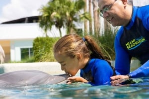 Miami: Schwimmen mit Delfinen mit Eintritt ins Seaquarium