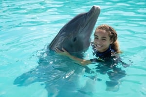 Miami : Nagez avec les dauphins et entrez dans le Seaquarium