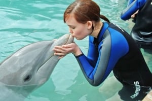 Miami: ervaring met zwemmen met dolfijnen met Seaquarium Entry