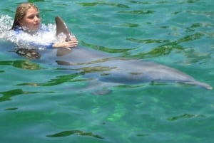 Miami: Simma med delfiner med inträde till Seaquarium