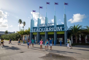 Miami: Die Eintrittskarte für den Miami Seaquarium Park