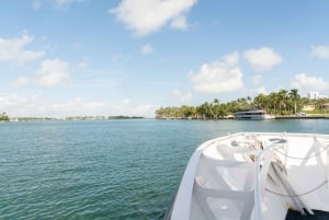 Miami: Den ursprungliga kryssningen i Millionaire's Row