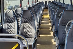 Miami to Key West: One Day Tour by Motor Coach Bus