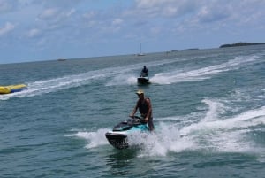 Traslado de Miami a Cayo Hueso: Delfines, snorkel y más