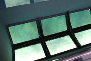 Miami naar Key West Shuttle: Dolfijn, snorkelen & meer