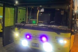 Miami naar Key West Shuttle: Dolfijn, snorkelen & meer