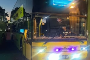 Miami naar Key West Shuttle: Dolfijn, snorkelen & meer