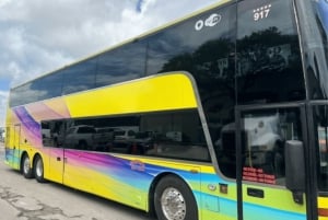 Miami naar Key West Shuttle: Dolfijn, snorkelen & meer