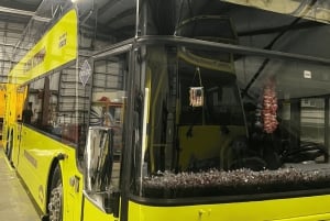 Miami naar Key West Shuttle: Dolfijn, snorkelen & meer