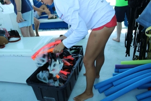 Traslado de Miami a Cayo Hueso: Delfines, snorkel y más