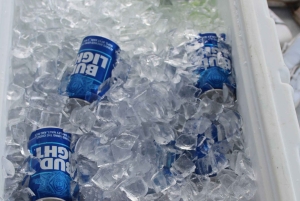 Traslado de Miami a Cayo Hueso: Delfines, snorkel y más