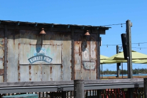 Traslado de Miami a Cayo Hueso: Delfines, snorkel y más