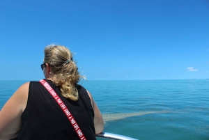 Traslado de Miami a Cayo Hueso: Delfines, snorkel y más