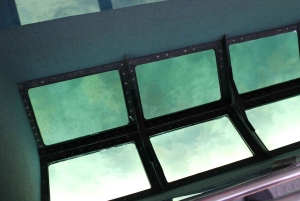 Traslado de Miami a Cayo Hueso: Delfines, snorkel y más