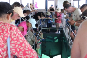 Traslado de Miami a Cayo Hueso: Delfines, snorkel y más