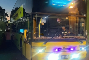 Traslado de Miami a Cayo Hueso: Delfines, snorkel y más