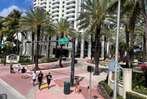 Miami Tour - South Beach, Design District og Wynwood Walls