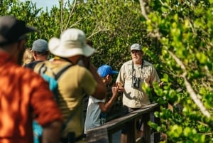 Vanuit Miami: Everglades Airboat tocht en natuurwandeling