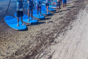 Miami: tour en kayak o SUP al Museo Vizcaya desde Hobie Beach