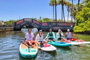 Miami: tour en kayak o SUP al Museo Vizcaya desde Hobie Beach