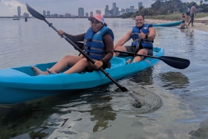 Miami: tour en kayak o SUP al Museo Vizcaya desde Hobie Beach