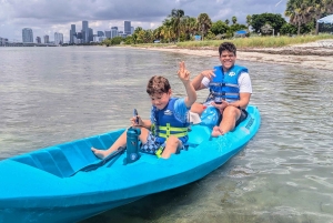 Miami: tour en kayak o SUP al Museo Vizcaya desde Hobie Beach
