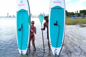 Miami: tour en kayak o SUP al Museo Vizcaya desde Hobie Beach