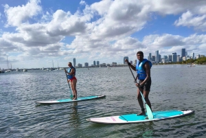 Miami: tour en kayak o SUP al Museo Vizcaya desde Hobie Beach