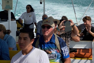 Miami: Boat Cruise from Bayside Marketplace & South Beach