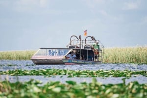 Miami: Wild Everglades Airboat Ride och Gator Encounters