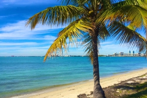 Miami: windsurfen voor beginners en gevorderden