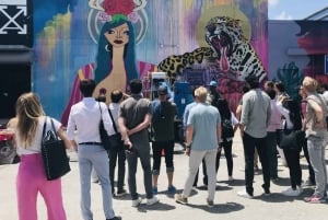 Miami: tour a piedi del Wynwood Art District