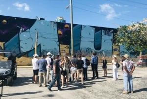 Miami: 1,5 tunnin kävelykierros Wynwoodin taidekorttelissa