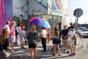 Miami: Excursão a Pé pelo Wynwood Arts District