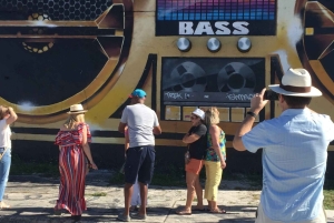 Miami: Wynwood Arts District Walking Tour