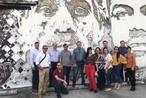 Miami: Omvisning til fots gjennom Wynwood Arts District