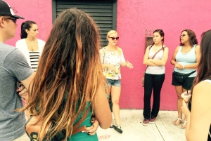 Miami: tour a piedi del Wynwood Art District